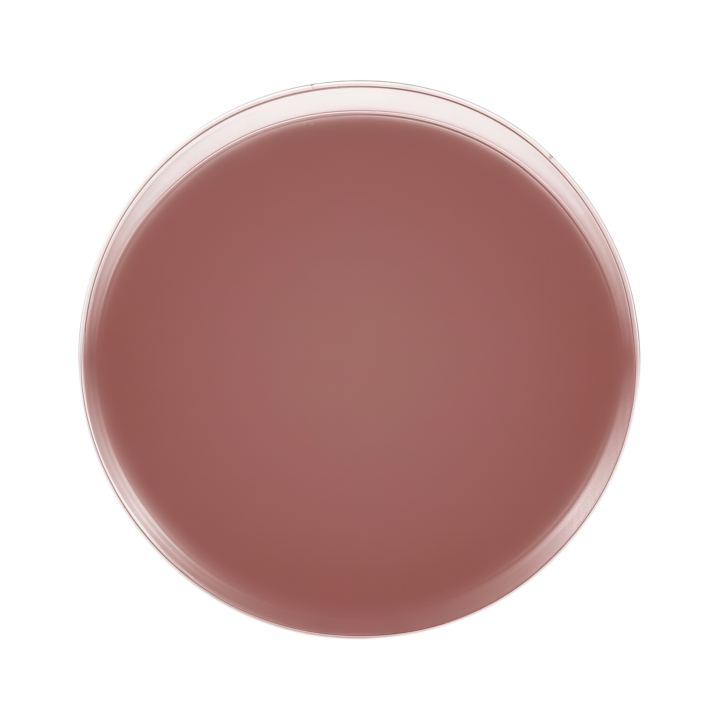 Anfisa ÂN-GLOSS Ceramide Lip Treatment 15ml